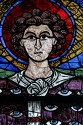 Chartres Cathedral Bay 103