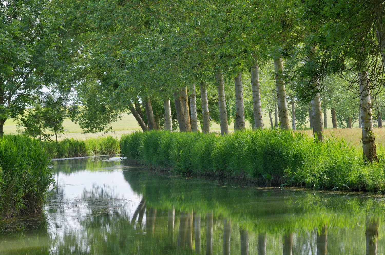 Le jardin du chteau de Pange