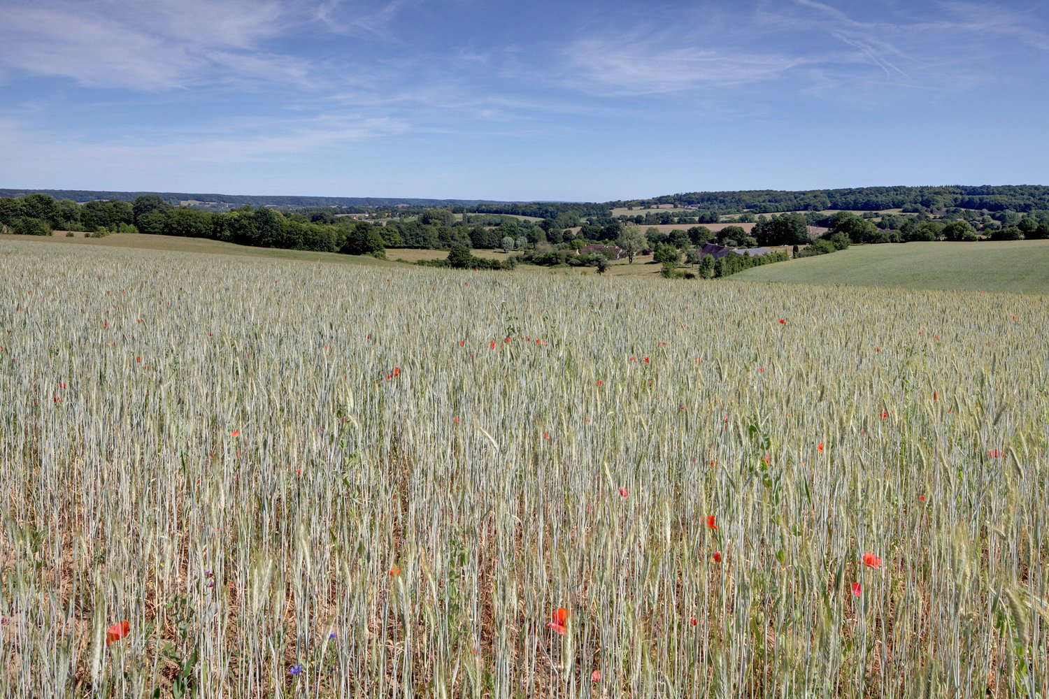 Moengrehan, Le Perche